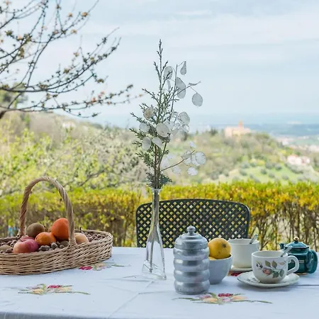 Villa La Nocciola By Posarellivillas *